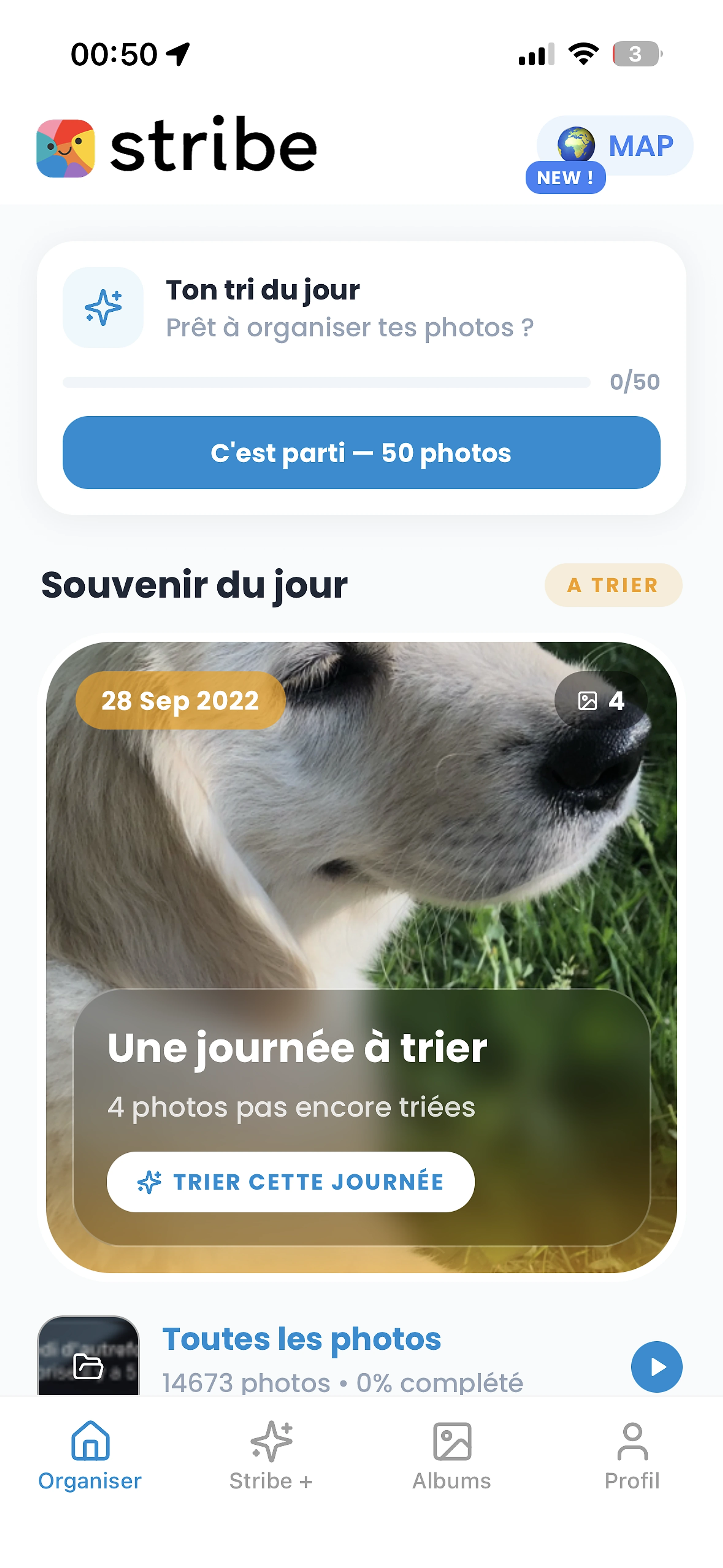 Stribe app preview
